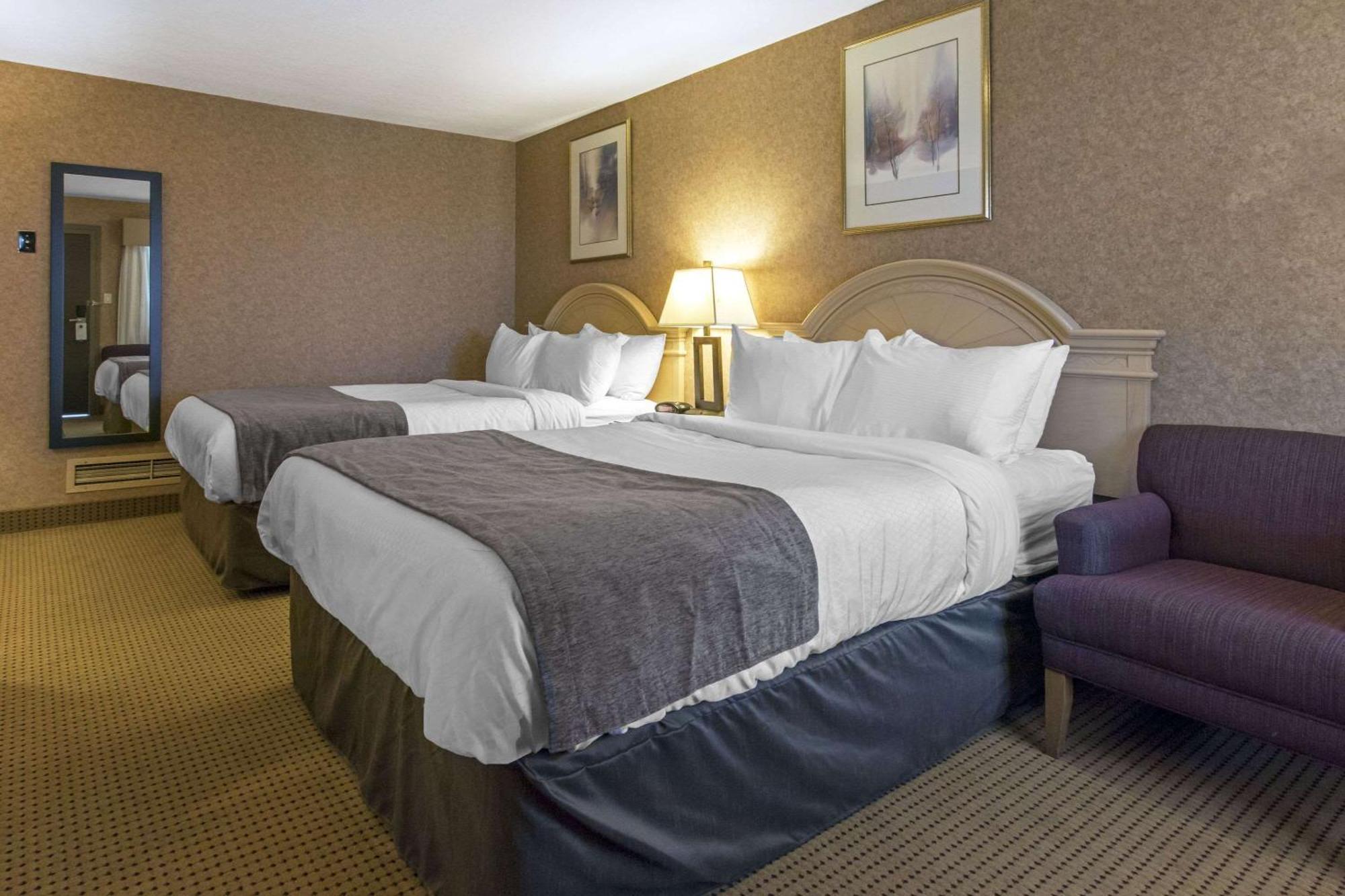Flamingo Hotel Medicine Hat Exteriör bild